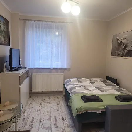 Lipnicki 1 Nr 16 *