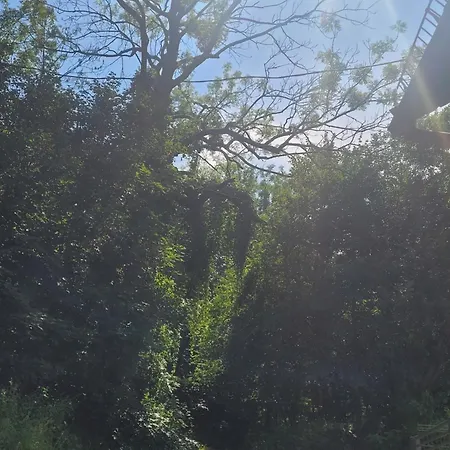 Lipnicki 1 Nr 16 * 비엘스코-비아와